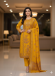 MIS0220139 Salwar Set